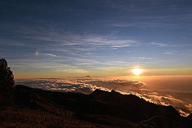 PS4模拟器Spine超长演示 展示125款游戏运行效果